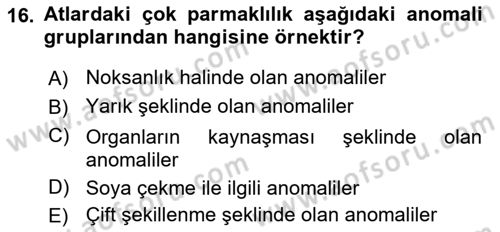 Temel Veteriner Patoloji Dersi 2019 - 2020 Yılı (Final) Dönem Sonu Sınav Soruları 16. Soru