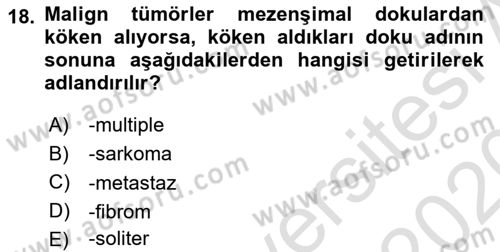 Temel Veteriner Patoloji Dersi 2019 - 2020 Yılı (Final) Dönem Sonu Sınav Soruları 18. Soru