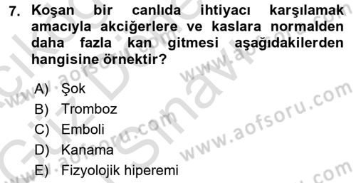 Temel Veteriner Patoloji Dersi 2019 - 2020 Yılı (Final) Dönem Sonu Sınav Soruları 7. Soru