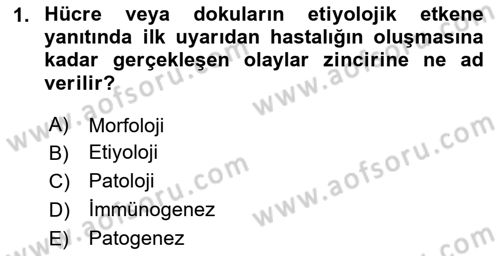 Temel Veteriner Patoloji Dersi 2020 - 2021 Yılı Yaz Okulu Sınav Soruları 1. Soru