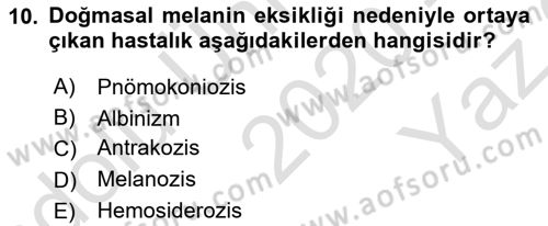 Temel Veteriner Patoloji Dersi 2020 - 2021 Yılı Yaz Okulu Sınav Soruları 10. Soru