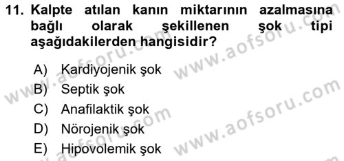Temel Veteriner Patoloji Dersi 2020 - 2021 Yılı Yaz Okulu Sınav Soruları 11. Soru