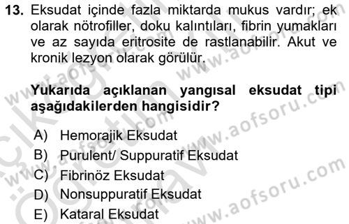 Temel Veteriner Patoloji Dersi 2020 - 2021 Yılı Yaz Okulu Sınav Soruları 13. Soru