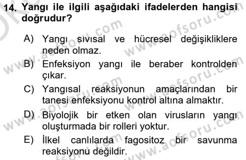 Temel Veteriner Patoloji Dersi 2020 - 2021 Yılı Yaz Okulu Sınav Soruları 14. Soru