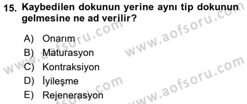 Temel Veteriner Patoloji Dersi 2020 - 2021 Yılı Yaz Okulu Sınav Soruları 15. Soru