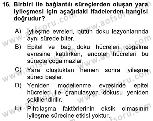 Temel Veteriner Patoloji Dersi 2020 - 2021 Yılı Yaz Okulu Sınav Soruları 16. Soru
