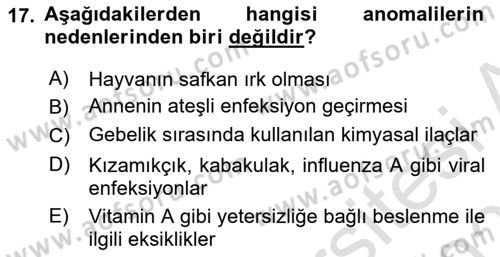 Temel Veteriner Patoloji Dersi 2020 - 2021 Yılı Yaz Okulu Sınav Soruları 17. Soru
