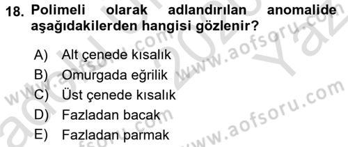 Temel Veteriner Patoloji Dersi 2020 - 2021 Yılı Yaz Okulu Sınav Soruları 18. Soru