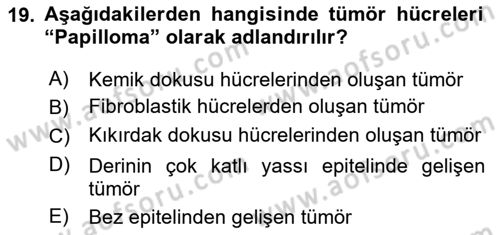 Temel Veteriner Patoloji Dersi 2020 - 2021 Yılı Yaz Okulu Sınav Soruları 19. Soru