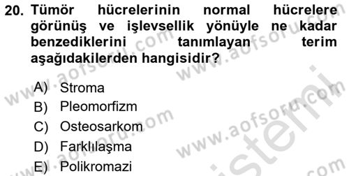 Temel Veteriner Patoloji Dersi 2020 - 2021 Yılı Yaz Okulu Sınav Soruları 20. Soru