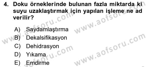 Temel Veteriner Patoloji Dersi 2020 - 2021 Yılı Yaz Okulu Sınav Soruları 4. Soru