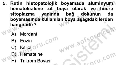 Temel Veteriner Patoloji Dersi 2020 - 2021 Yılı Yaz Okulu Sınav Soruları 5. Soru