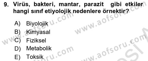 Temel Veteriner Patoloji Dersi 2020 - 2021 Yılı Yaz Okulu Sınav Soruları 9. Soru