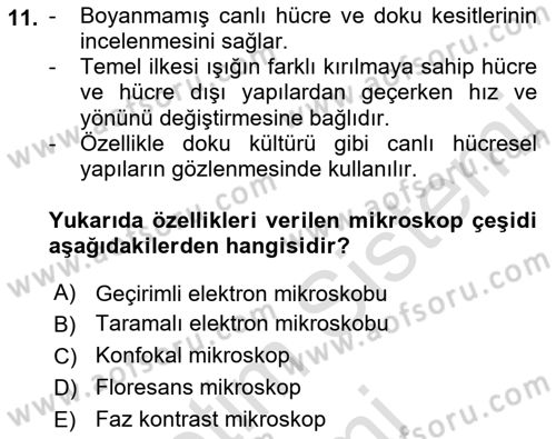Temel Veteriner Patoloji Dersi Ara Sınavı Deneme Sınav Soruları 11. Soru