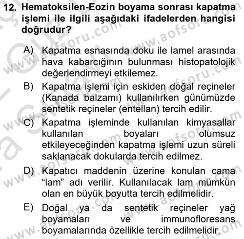 Temel Veteriner Patoloji Dersi 2021 - 2022 Yılı (Vize) Ara Sınav Soruları 12. Soru