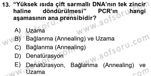 Temel Veteriner Patoloji Dersi Ara Sınavı Deneme Sınav Soruları 13. Soru