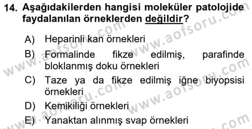 Temel Veteriner Patoloji Dersi 2021 - 2022 Yılı (Vize) Ara Sınav Soruları 14. Soru