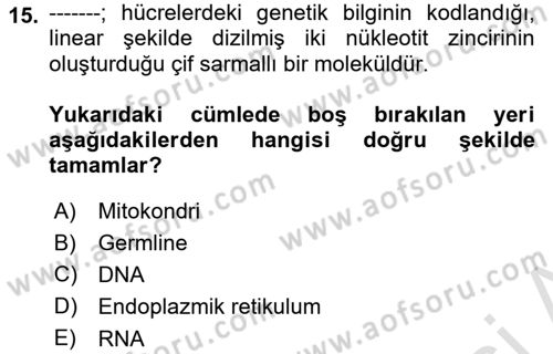 Temel Veteriner Patoloji Dersi Ara Sınavı Deneme Sınav Soruları 15. Soru