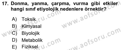 Temel Veteriner Patoloji Dersi 2021 - 2022 Yılı (Vize) Ara Sınav Soruları 17. Soru