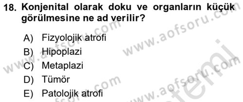 Temel Veteriner Patoloji Dersi 2021 - 2022 Yılı (Vize) Ara Sınav Soruları 18. Soru