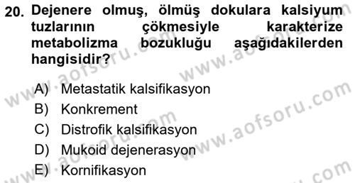 Temel Veteriner Patoloji Dersi Ara Sınavı Deneme Sınav Soruları 20. Soru