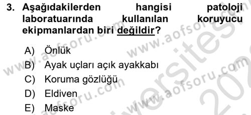 Temel Veteriner Patoloji Dersi 2021 - 2022 Yılı (Vize) Ara Sınav Soruları 3. Soru