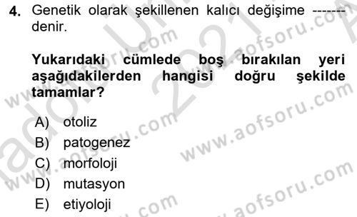 Temel Veteriner Patoloji Dersi Ara Sınavı Deneme Sınav Soruları 4. Soru