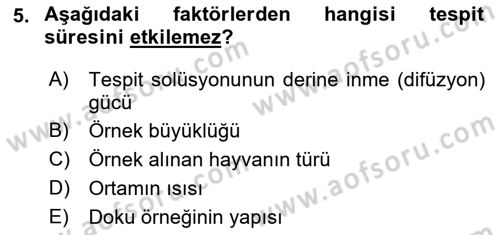 Temel Veteriner Patoloji Dersi 2021 - 2022 Yılı (Vize) Ara Sınav Soruları 5. Soru