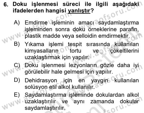 Temel Veteriner Patoloji Dersi 2021 - 2022 Yılı (Vize) Ara Sınav Soruları 6. Soru