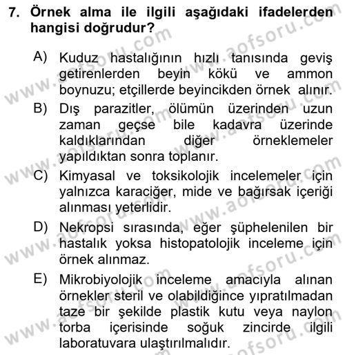 Temel Veteriner Patoloji Dersi 2021 - 2022 Yılı (Vize) Ara Sınav Soruları 7. Soru