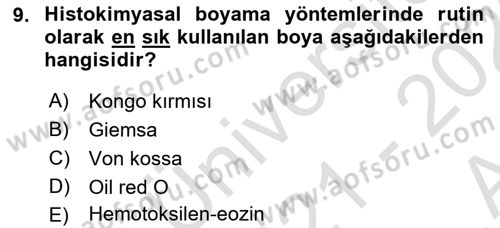 Temel Veteriner Patoloji Dersi 2021 - 2022 Yılı (Vize) Ara Sınav Soruları 9. Soru