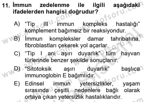 Temel Veteriner Patoloji Dersi 2021 - 2022 Yılı (Final) Dönem Sonu Sınav Soruları 11. Soru
