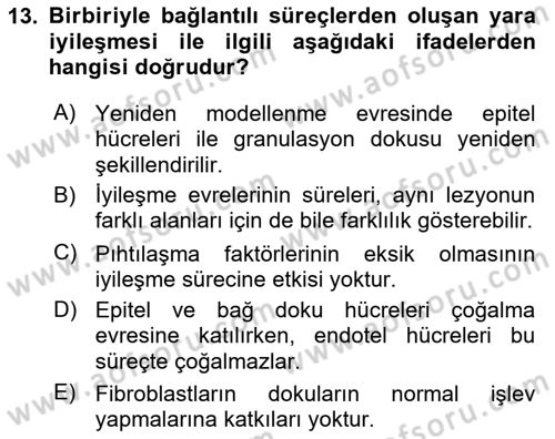 Temel Veteriner Patoloji Dersi 2021 - 2022 Yılı (Final) Dönem Sonu Sınav Soruları 13. Soru