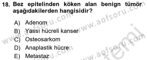 Temel Veteriner Patoloji Dersi 2021 - 2022 Yılı (Final) Dönem Sonu Sınav Soruları 18. Soru