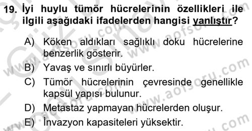 Temel Veteriner Patoloji Dersi 2021 - 2022 Yılı (Final) Dönem Sonu Sınav Soruları 19. Soru