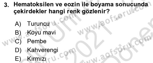 Temel Veteriner Patoloji Dersi 2021 - 2022 Yılı (Final) Dönem Sonu Sınav Soruları 3. Soru