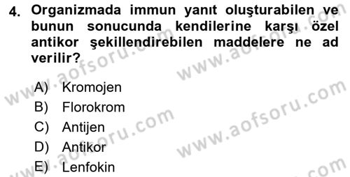 Temel Veteriner Patoloji Dersi 2021 - 2022 Yılı (Final) Dönem Sonu Sınav Soruları 4. Soru