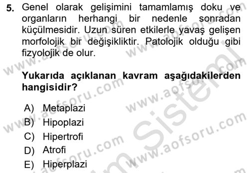 Temel Veteriner Patoloji Dersi 2021 - 2022 Yılı (Final) Dönem Sonu Sınav Soruları 5. Soru