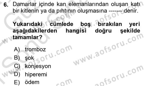 Temel Veteriner Patoloji Dersi 2021 - 2022 Yılı (Final) Dönem Sonu Sınav Soruları 6. Soru