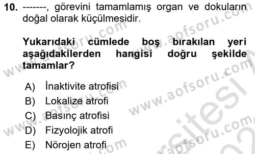 Temel Veteriner Patoloji Dersi 2021 - 2022 Yılı Yaz Okulu Sınav Soruları 10. Soru