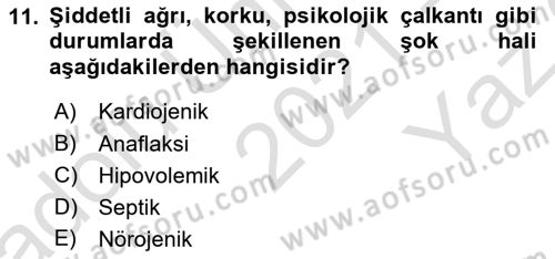 Temel Veteriner Patoloji Dersi 2021 - 2022 Yılı Yaz Okulu Sınav Soruları 11. Soru