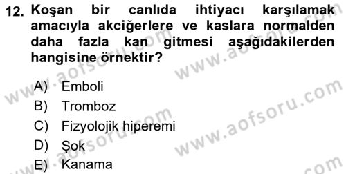 Temel Veteriner Patoloji Dersi 2021 - 2022 Yılı Yaz Okulu Sınav Soruları 12. Soru