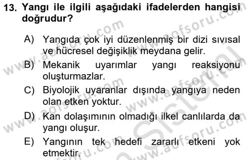 Temel Veteriner Patoloji Dersi 2021 - 2022 Yılı Yaz Okulu Sınav Soruları 13. Soru