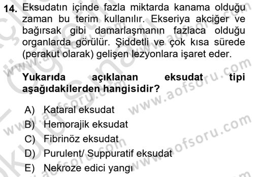 Temel Veteriner Patoloji Dersi 2021 - 2022 Yılı Yaz Okulu Sınav Soruları 14. Soru