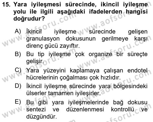 Temel Veteriner Patoloji Dersi 2021 - 2022 Yılı Yaz Okulu Sınav Soruları 15. Soru