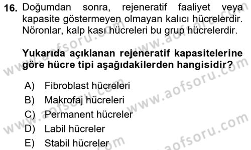 Temel Veteriner Patoloji Dersi 2021 - 2022 Yılı Yaz Okulu Sınav Soruları 16. Soru