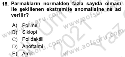 Temel Veteriner Patoloji Dersi 2021 - 2022 Yılı Yaz Okulu Sınav Soruları 18. Soru