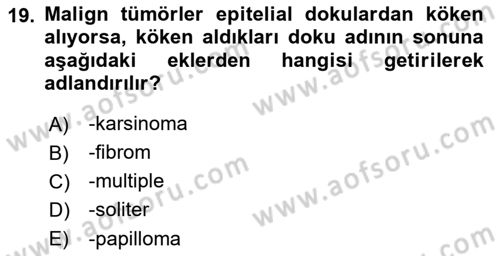 Temel Veteriner Patoloji Dersi 2021 - 2022 Yılı Yaz Okulu Sınav Soruları 19. Soru