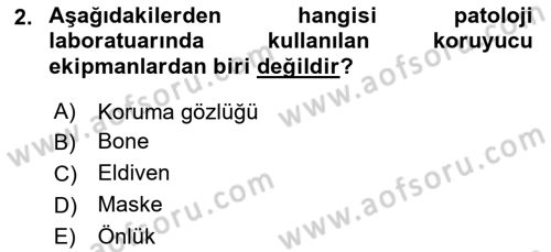 Temel Veteriner Patoloji Dersi 2021 - 2022 Yılı Yaz Okulu Sınav Soruları 2. Soru