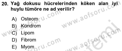 Temel Veteriner Patoloji Dersi 2021 - 2022 Yılı Yaz Okulu Sınav Soruları 20. Soru